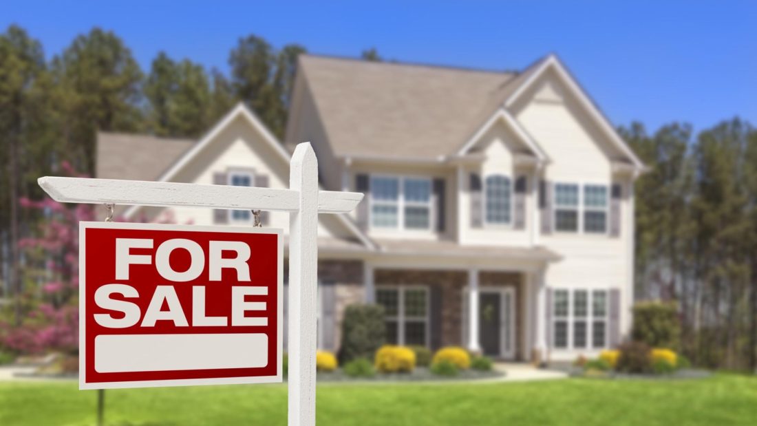 From the Horse’s Mouth: House Sales and the VAT Increase